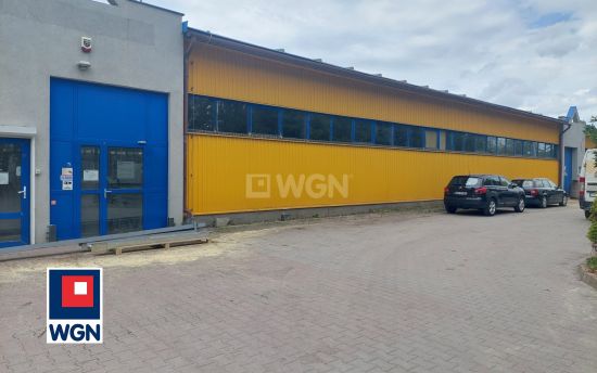 Magazyn na wynajem Głogów